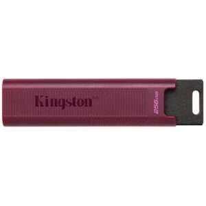 Kingston 256GB DataTraveler Max