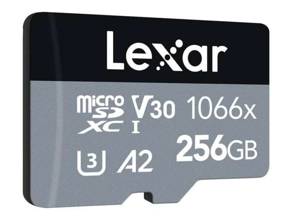 Lexar 256GB